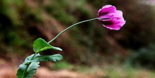 《完蛋我被美女包围》新DLC在厦门开拍 有3个新女角